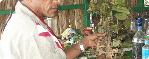 <ingredientes de la pusanga>